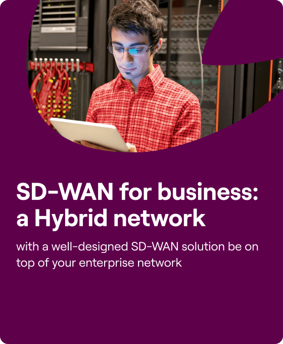 SD-WAN for business:  a Hybrid network